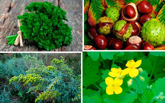 bylinky pro léčbu prostatitidy