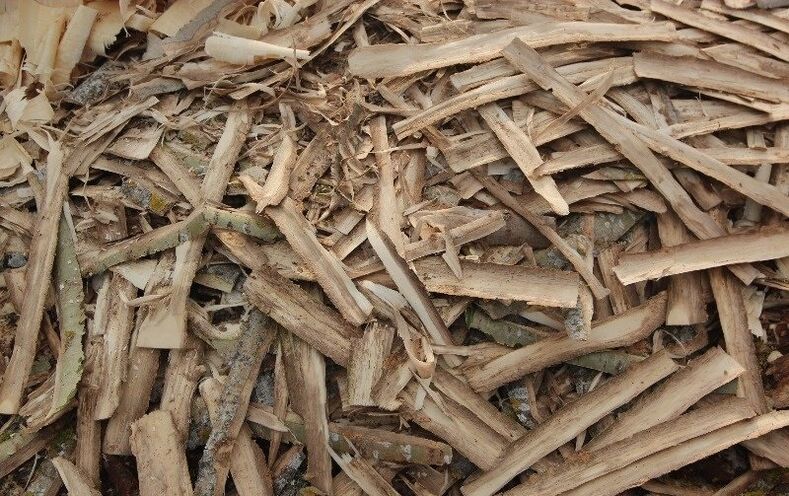 osika kůra pro prostatitidu